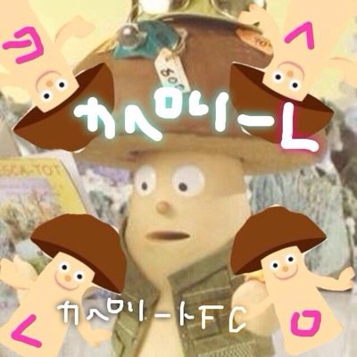 @hee_bomi マネージャー(｡í _ ì｡) ｶﾍﾟﾘｰﾄが自分でファンクラブを創立