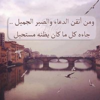 ســلـاـ فــي،، (@solaf100) 's Twitter Profile