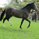 Angel M. Gil Ruiz - @71angelgil - Twitter