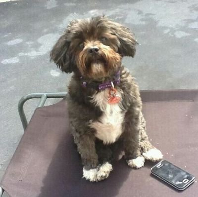 VickieMarriner's profile picture. 