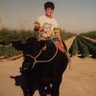 espy157's profile picture. when I was your age, I rode my steer to school in the snow. Uphill both ways