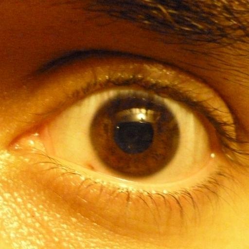 lagarto_wey's profile picture. ¿Vos decís?