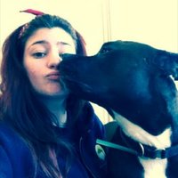 Rocio Orr (@rocio_orr) 's Twitter Profile
