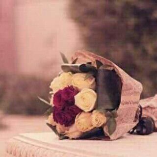 alamry_amal's profile picture. 