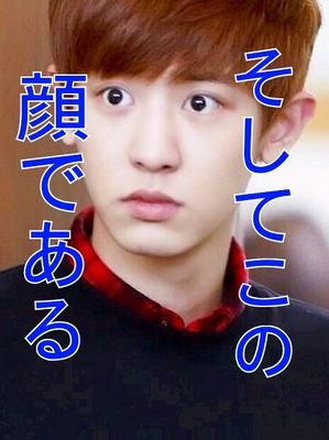 　　主にチャニョルんちの庭にいる雑食婆　 19970505line
