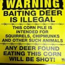 william tolley - @tolley81 - Twitter