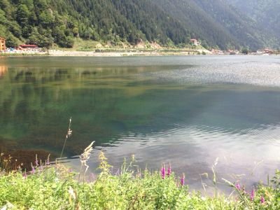 msql1990's profile picture. 