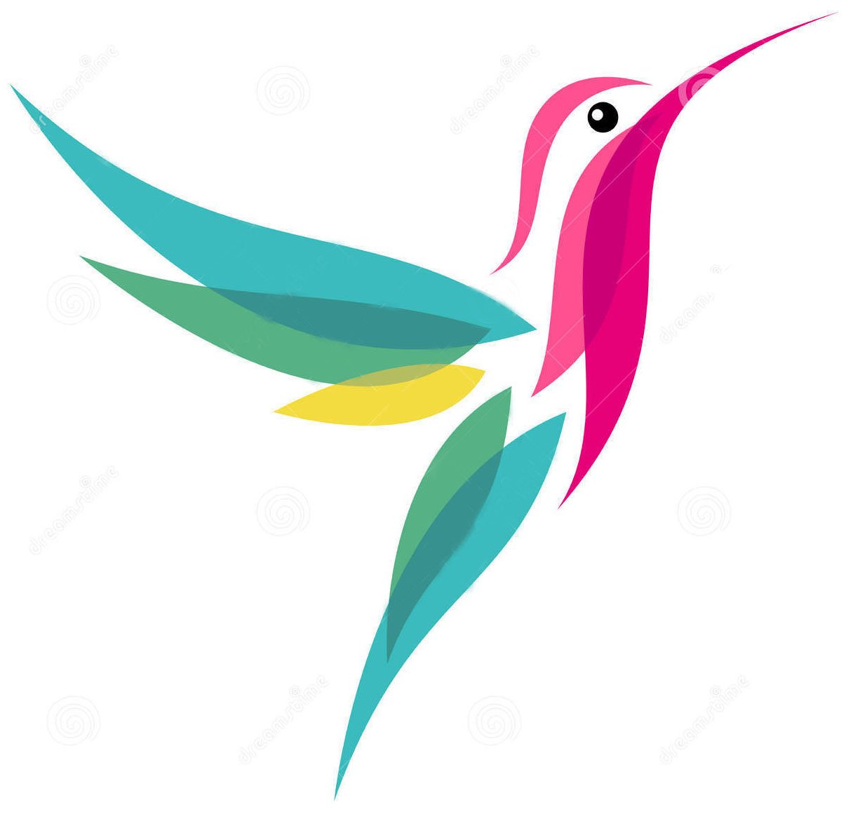 cumavazquez's profile picture. 