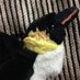 Janet Loftis (@thefarplaces) Twitter profile photo