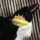 Janet Loftis - @TheFarPlaces - Twitter