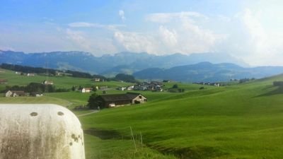 dev_visionthing's profile picture. 