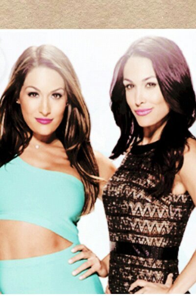I'm a WWE total diva I will hurt you if you mess with me so don't do that [single]