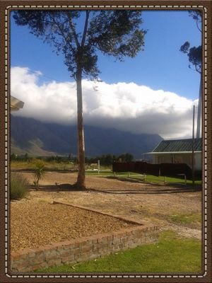 cosmosndlovu's profile picture. 