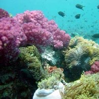 Mark Lin (@linmark78) 's Twitter Profile