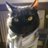 billythetimecat's profile image