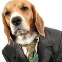 christopher Malley - @TheMr_Doggie - Twitter