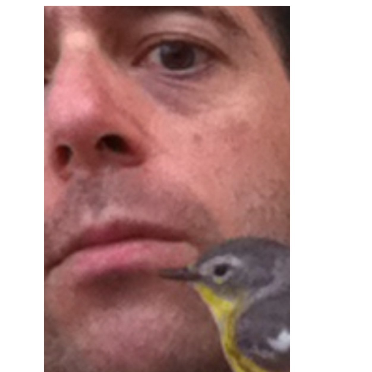 SonnyBoyFreud's profile picture. 