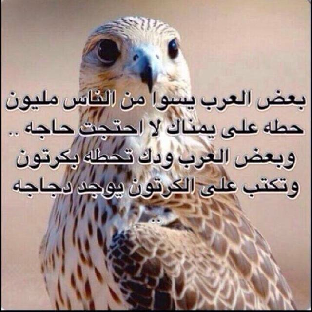 EeEe3300's profile picture. في المرجله شيخ**وبارحمه انسان