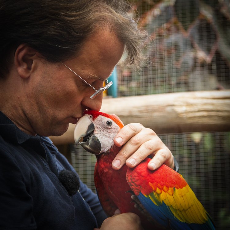 Direktor Zoo Karlsruhe