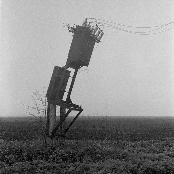 kindnecessary's profile picture. 