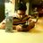 Amit12578's profile image