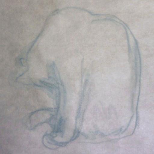 siromasiro's profile picture. 　**********