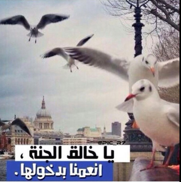 صدقه جاريه بأذن الله ل خوان الدنيا و الاخره 
-أحمد الكواري -دلال الرشيدي -عبدالعزيز الكبيسي 
ربي استودعتك اياهم فحفظهم لي بعينك التي لاتنام -امين-
