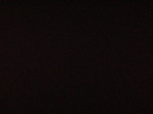 bobXD2_'s profile picture. a tech and politically literate person