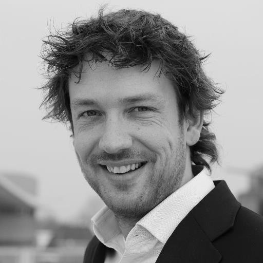 Muziekliefhebber | adviseur & projectleider e-Overheid en digitale aspecten fysieke leefomgeving / Omgevingswet.