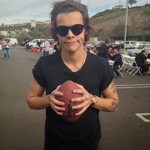 sunroofharry's profile picture. @zarryjr