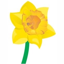 CockermouthCoT's profile picture. Cockermouth & District Chamber of Trade - actively supporting businesses and the community in this fantastic Cumbrian market town.