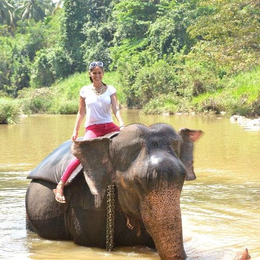 Daya holidays is the leading travel soution company holding under the daya group of companies in Sri Lanka