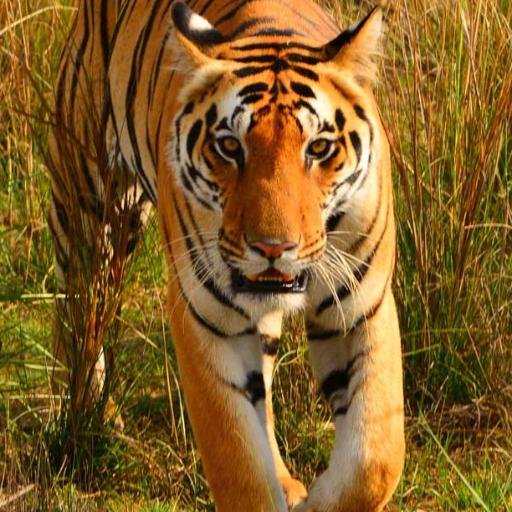 FabXco's profile picture. The Fabulous Experience Company
Best Safari, Wildlife & Nature Tour Operator