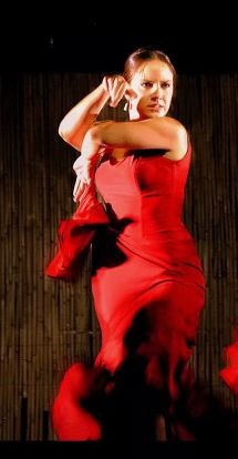 luchadora , inquieta , decidida.. amor por el flamenco. Monesterio