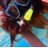 BexGerrish's profile image