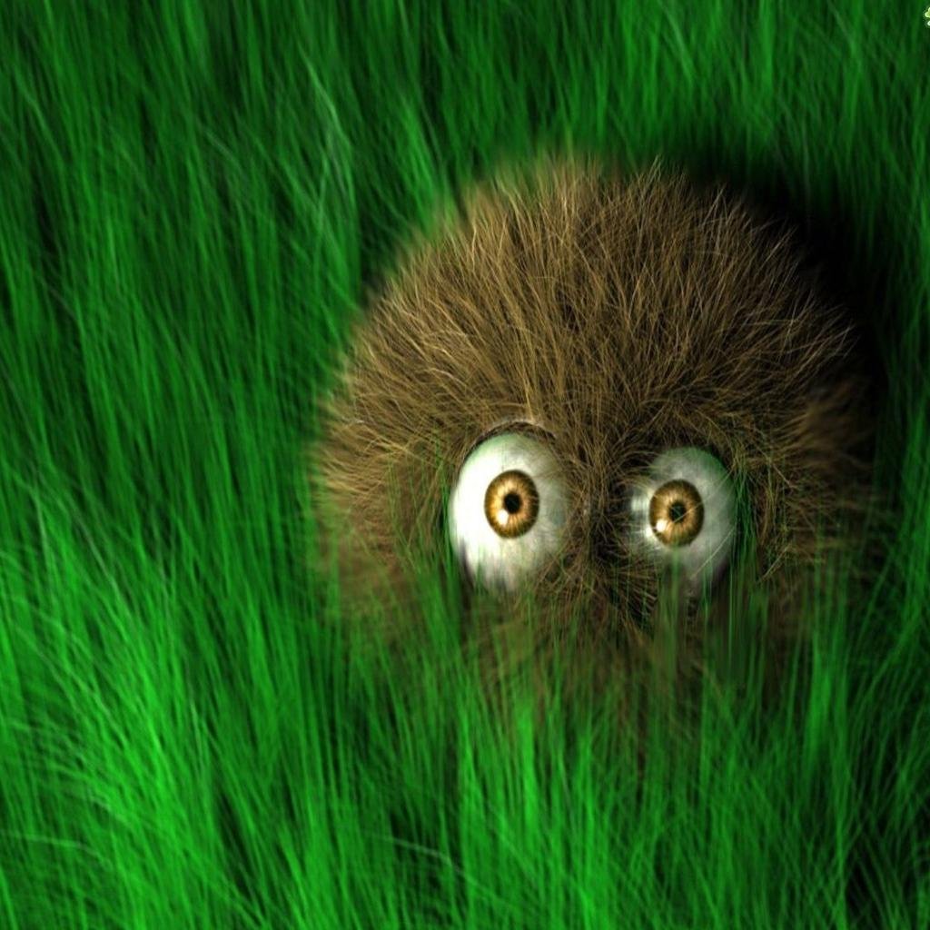 danielkuleczka's profile picture. 