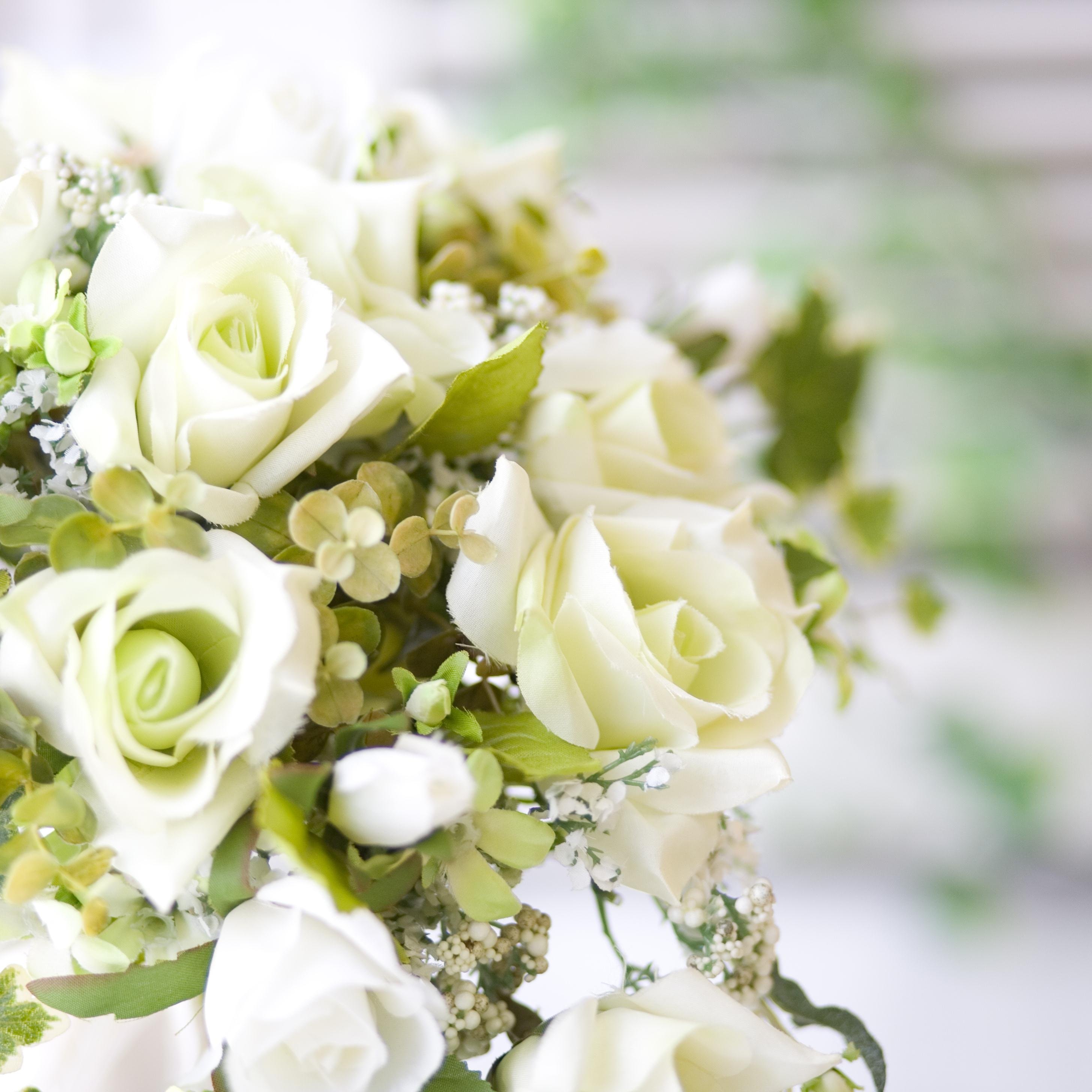 STUDIOMAX_offi's profile picture. スタジオマックス深谷店の公式アカウントです🌸
Twitter限定プランや新作のご案内など発信中🐤
Instagram→,studio.max_official