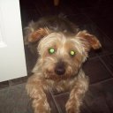 Ros Smith - @Smith88Ros - Twitter