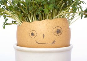 ClareFacts's profile picture. 100% True Facts. Fact.