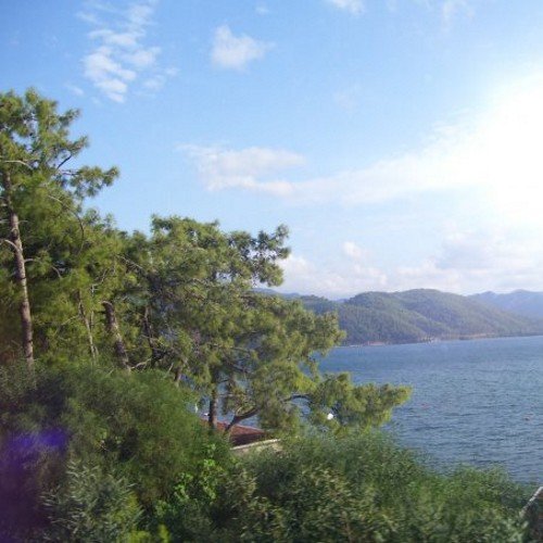 h_senacn's profile picture. 