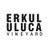 erkulbaglari's profile image