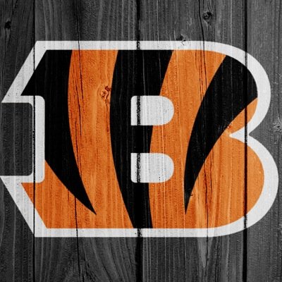 Cincinnati Bengals! That's the team we're gonna cheer to victory! 
WHO DEY!!