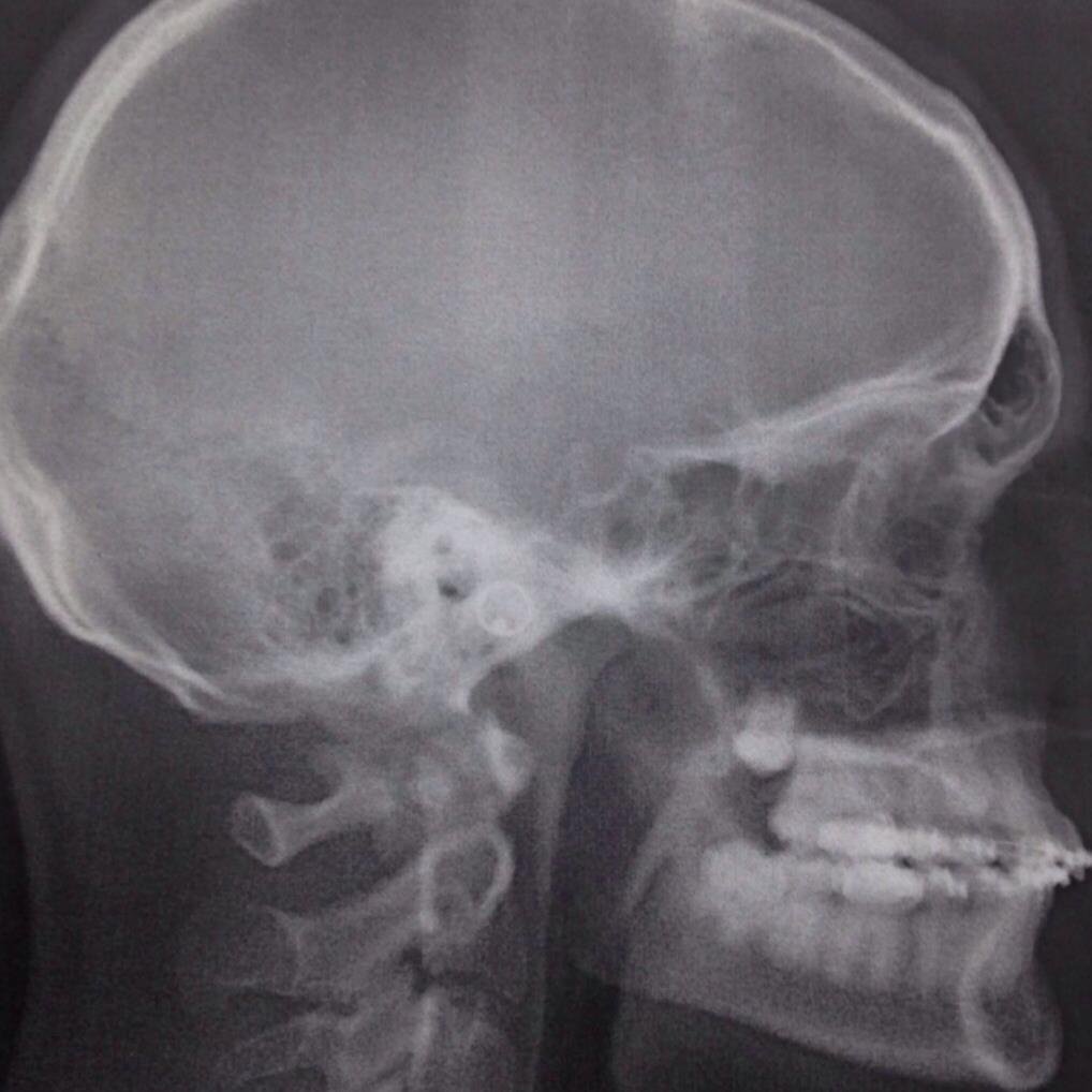 drewbush95's profile picture. 