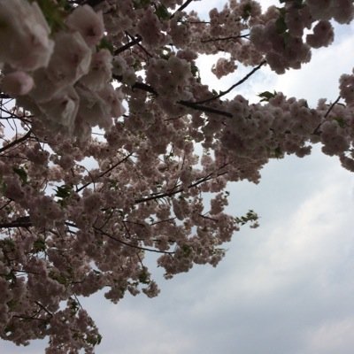 みー