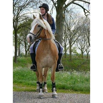 horse riding - qoutes - insta: _Brechtje