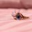 72d2e369c2a846c's profile image