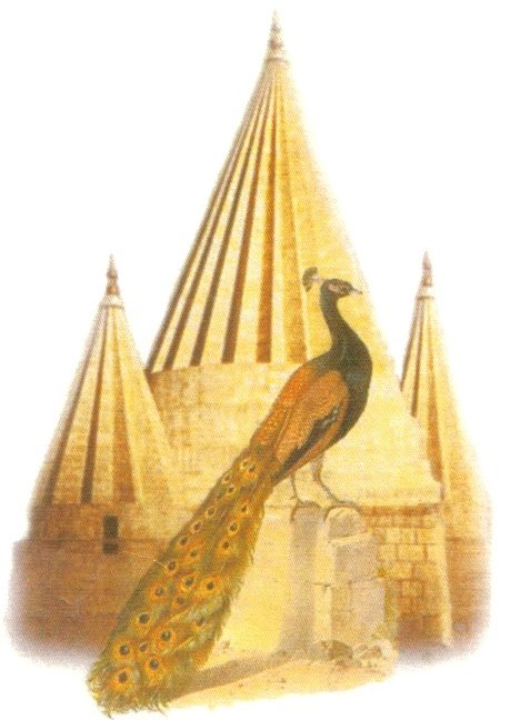 وحدات مقاومة شنغال
Yekîneyên Berxwedana Şengalê