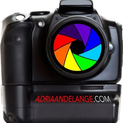 Freelance Photographer