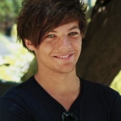 se a vida te der internet não procure one direction no google