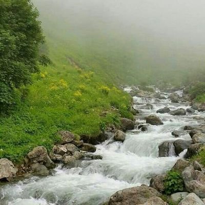 احب الانسان الصريح واكره النصاب